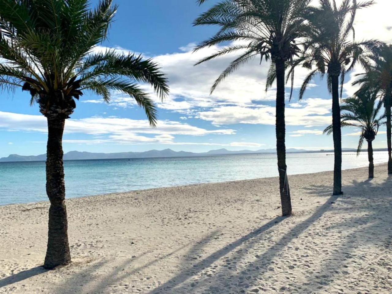 El Paraiso 阿尔库迪亚 外观 照片