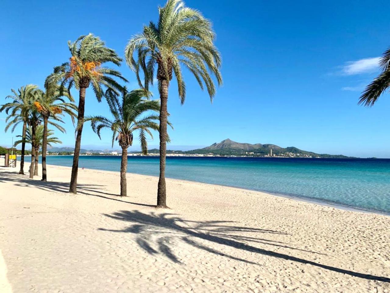 El Paraiso 阿尔库迪亚 外观 照片